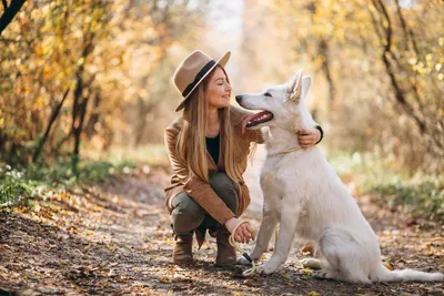 Кинолог назвал главные ошибки при прогулке с собакой осенью | Ветеринария и  жизнь