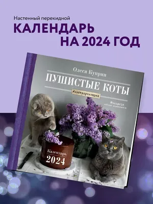 Пушистые Коты - Пушистые Коты updated their cover photo.
