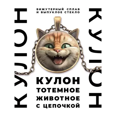 Самый добрый кот в хорошие руки в Новосибирске. Цена - договорная. -  НГС.ОБЪЯВЛЕНИЯ