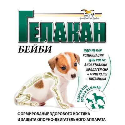Стандарт и особенности служебных собак [Владимир Львович Вайсман] (fb2)  читать онлайн | КулЛиб электронная библиотека