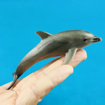Модели морских обитателей, миниатюрные фигурки дельфинов, Реалистичная  симуляция морских организмов, прыжки, игрушка Дельфин, детские подарки,  когнитивные игрушки | AliExpress