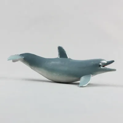 дельфинов 3D модели Cinema 4D - .c4d скачать - Free3D