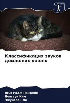 Мяуканье кошки: разновидности и значение - Mimer.ru