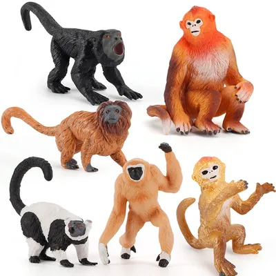 На Земле найдены новые виды обезьян - Hi-News.ru