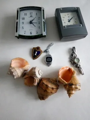 Женские часы bolun (разные модели и цвета) — цена 343 грн в каталоге Часы ✓  Купить женские вещи по доступной цене на Шафе | Украина #136278987