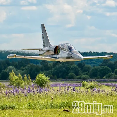 Полет на реактивном истребителе Л-39 | 29mig.ru