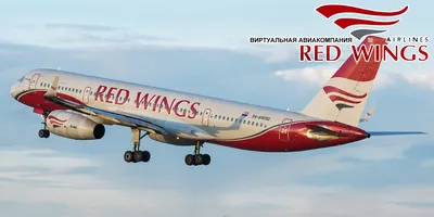 Red Wings покажет самолет из сегмента бизнес-авиации на МАКС-2023