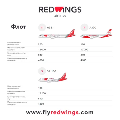 Авиакомпания Red Wings весной и летом будет летать в Израиль из трех  городов России | Ассоциация Туроператоров