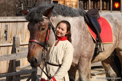 Национальная Ассоциация Лошадей Породы Pura Raza Española в России