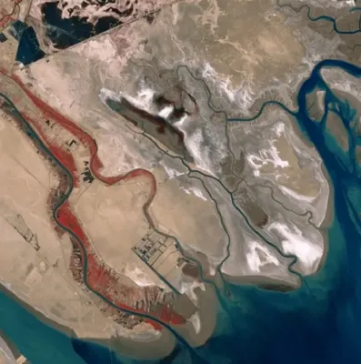 ANF | Могучая река Тигр в Ираке пересыхает