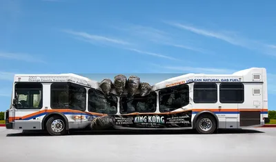 Реклама на туристических автобусах