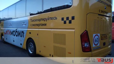 Реклама на транспорте в Бишкеке: на подголовниках, на автобусах, на  маршрутках - Elite Media Бишкек