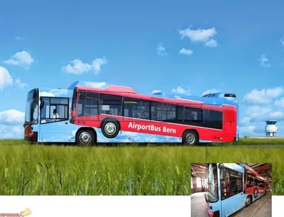Реклама на автобусе | Размещение рекламы на автобусах, оклейка бортов