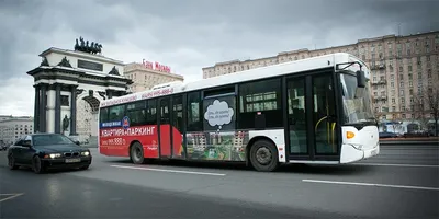 Реклама на автобусе Magic Trans доставка грузов по всей России | Сделано в  Волжском на PRzavod
