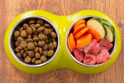 Рецепты домашней еды для собак с говядиной и индейкой от Счастливого  Животика