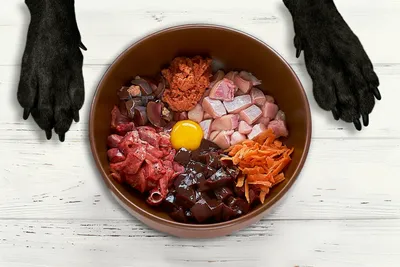 Натуральное питание собак. Рецепты. | Facebook