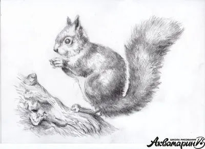 Эскиз, серый карандаш, рисунок собаки…» — создано в Шедевруме