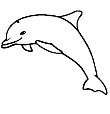 Раскраска Дельфин | Раскраски с водными животными. Картинки животных,  рисунки животных