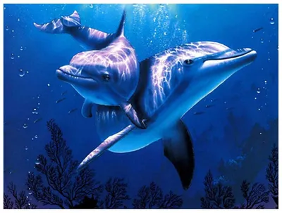 простой силуэт дельфина. векторный рисунок дельфина на белом фоне  Иллюстрация вектора - иллюстрации насчитывающей рыбы, логос: 216526985
