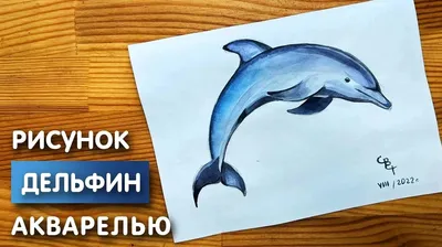 Раскраска животные дельфин. Рисунок дельфина в коралловом рифе