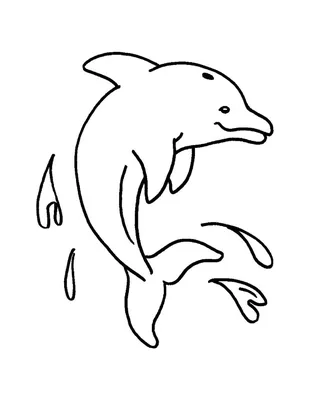 Рисунок дельфина поэтапно карандашом для начинающих легко (48 фото) »  рисунки для срисовки на Газ-квас.ком