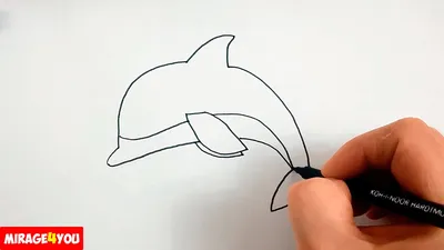 простой силуэт дельфина. векторный рисунок дельфина на белом фоне  Иллюстрация вектора - иллюстрации насчитывающей элемент, силуэт: 216526876