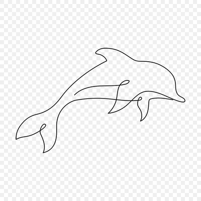 Эскиз Дельфина Нарисованная Вручную Иллюстрация Преобразуется В Вектор —  стоковая векторная графика и другие изображения на тему Дельфин - iStock