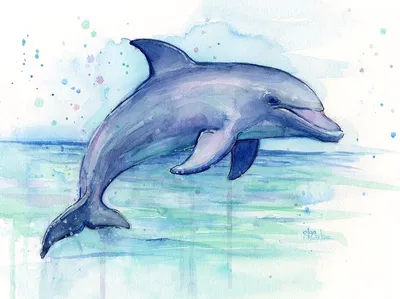 Рисунки цветными карандашами дельфины - 41 фото