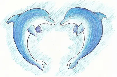 Два дельфина рисунок - 66 фото