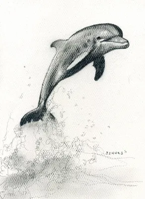 рисунок Простая абстрактная линия дельфина рисования одним штрихом PNG , рисунок  дельфина, дельфин клипарт черно белый, дельфин PNG картинки и пнг рисунок  для бесплатной загрузки
