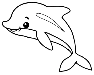 Картина от дельфина на заказ - Большой Сочинский Дельфинарий