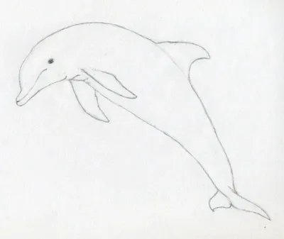 Рисунок Дельфина Волнах Нарисованный Вручную Стиле Каракулей Векторное  изображение ©BigJoy 659426330