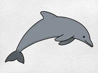 Рисунок дельфина и водорослей. | Премиум векторы
