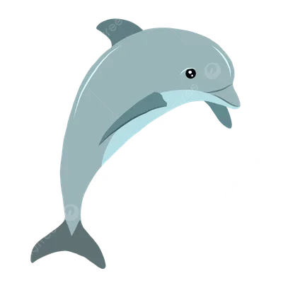 Дельфинчик картинка - 62 фото