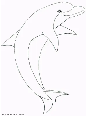 Рисунок дельфина. Раскраска
