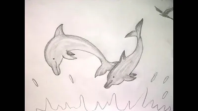 Рисуем дельфина - бесплатные конкурсы для детей и взрослых