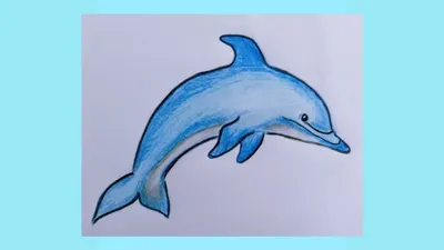 Простые рисунки карандашом / Рисунок Дельфин / Рисунки в скетчбук для  начинающих - YouTube