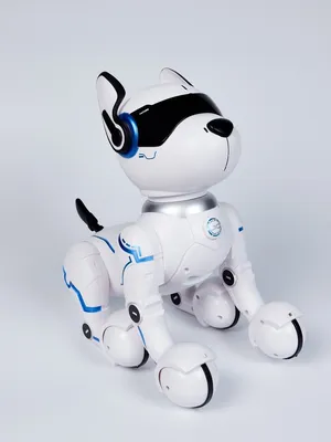 Русифицированная интерактивная собака робот Твой питомец \"ТОШКА\", выполняет  команды: сидеть, отжимание, йога, приветствие, капризничает, стойка на  голове, лежать, поет, танцует, сказки, песни, робот на пульте управления -  7246RU - купить с доставкой