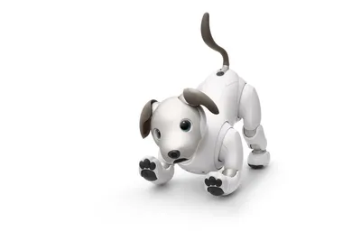 Silverlit Робот Собака \"Хедзап\" (YCOO) (id 86181660), купить в Казахстане,  цена на Satu.kz