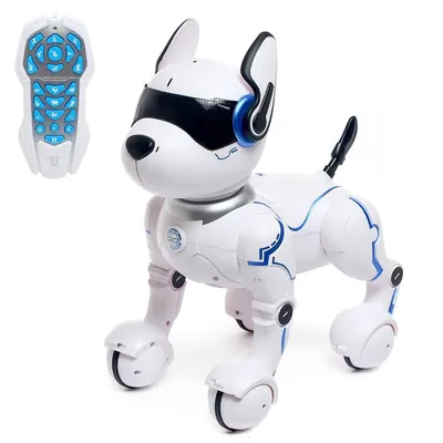 Робот-собака YCOO Dackel R ᐈ Купить с доставкой по Украине |  Интернет-магазин karapuzov.com.ua