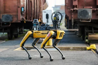 Бионический робот собака Xiaomi CyberDog 2