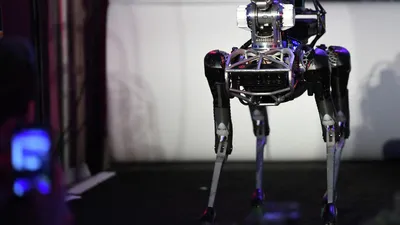 Робот собака на радиоуправлении Le Neng Toys K21 в интернет-магазине Хобби  Парк