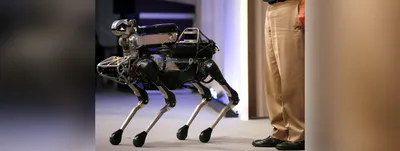 Интерактивный робот-собака Зуми розовая Zoomer Spin Master купить Москва