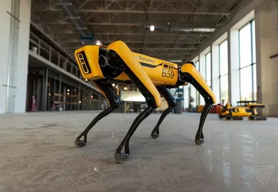 Проект SPUR: робот-собака становится снайпером