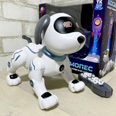 Робот собака-перевертыш SYRCAR 666-800A Stunt Dog с пультом в виде наручных  часов - 666-800A - купить по оптовой цене в интернет-магазине RCstore.ru