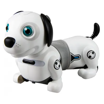 Робот-собака Кибер пёс, световые и звуковые эффекты, работает от  аккумулятора, цвет чёрный 6833322 (6833322) по низкой цене - Murzilka.kz
