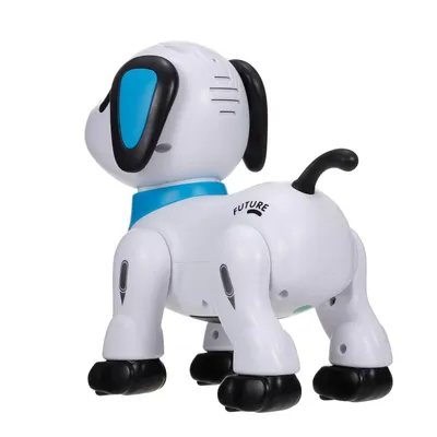 Робот-собака YCOO Dackel Junior ᐈ Купить с доставкой по Украине |  Интернет-магазин karapuzov.com.ua