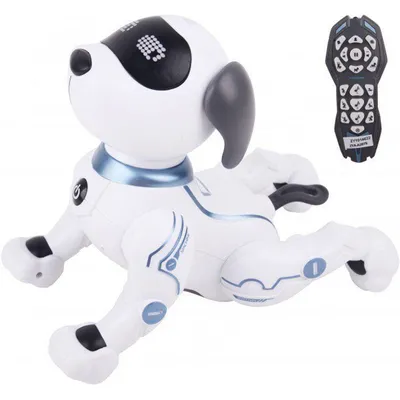 ИК робот-собака Crazon CR-1901 звук, свет, танцы - CR-1901 - купить по  оптовой цене в интернет-магазине RCstore.ru