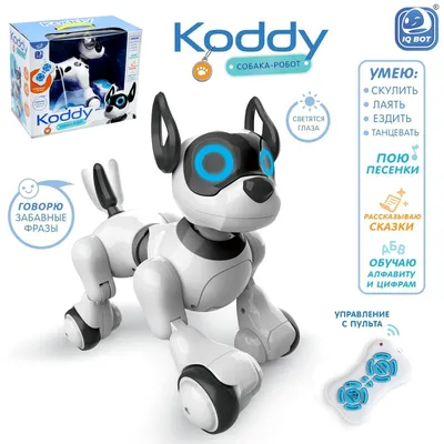 Робот собака Koddy IQ BOT, на пульте управления, интерактивный: звук, свет,  танцующий, музыкальный, на аккумуляторе (4376315) - Купить по цене от 2  990.00 руб. | Интернет магазин SIMA-LAND.RU