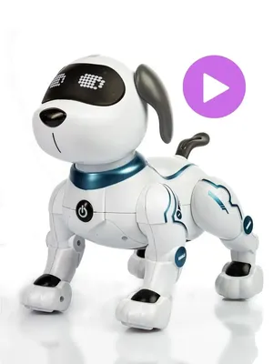 Купить Игрушка Робот Собака Программируемая на Радиоуправлении Трюковая с  Голосовым Сопровождением + Свет и Сенсорный Датчик